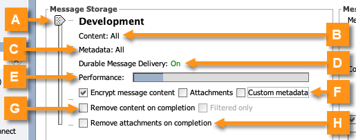 Image of the Message Storage section of the Summary tab.