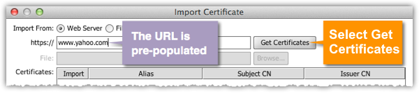 Import Certificate window
