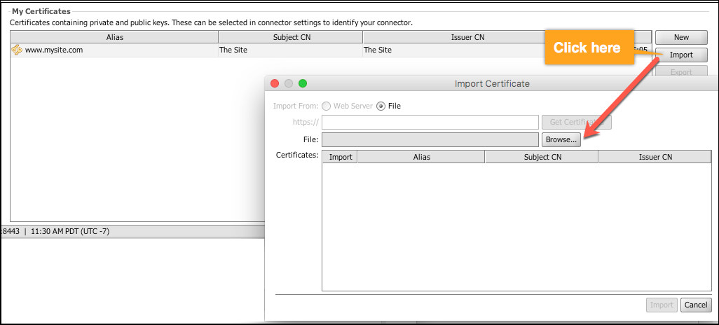 Selecting the Browse Button the Import Certificate Window