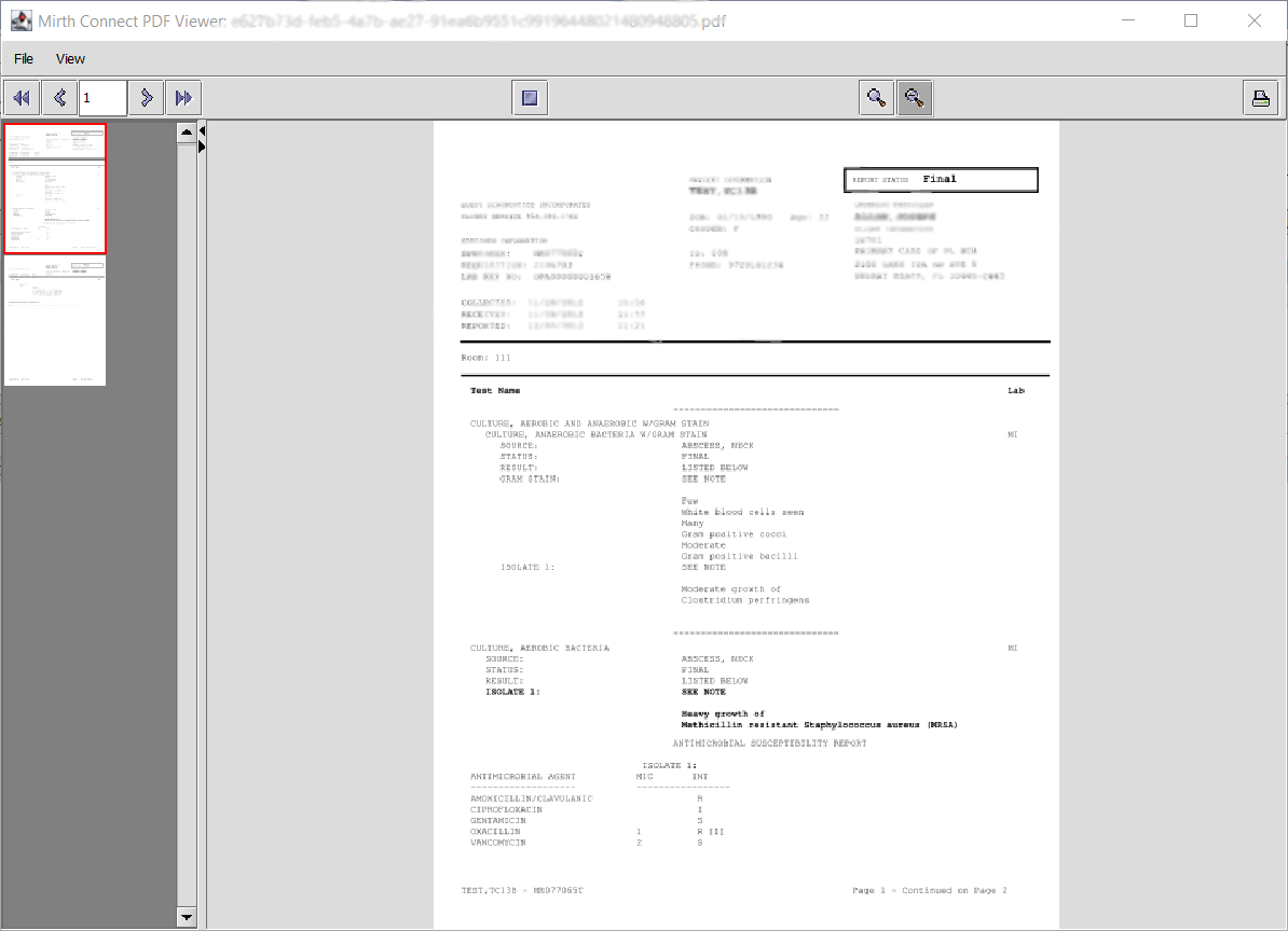Image of the PDF viewer