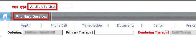Ancillary Services visit type selected on NTS Homepage