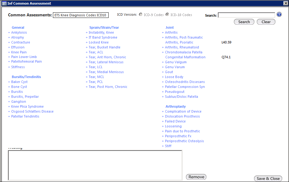 Inf Common Assessment template