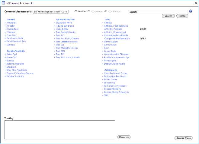 Inf Common Assessment window