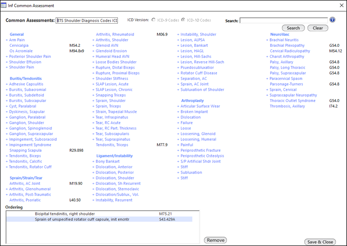 Inf Common Assessment window