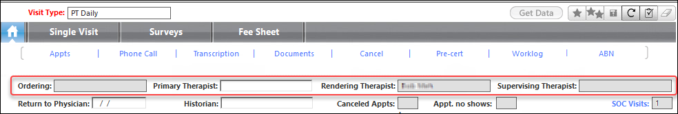Provider fields at the top of the Homepage template