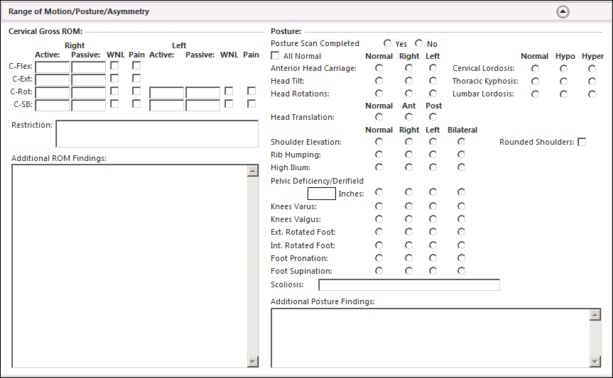 Range of Motion/Posture/Asymmetry panel