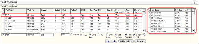 Visit Type Setup panel with codes