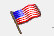 Veteran Icon