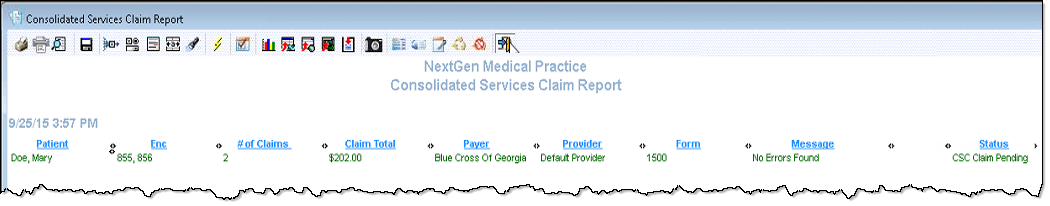 Consolidated Services Claim Report