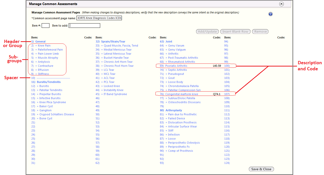 Items on Common Assessment Pages