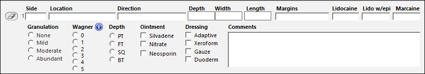 Panels on the IORTS Diabetic Foot Procedures template