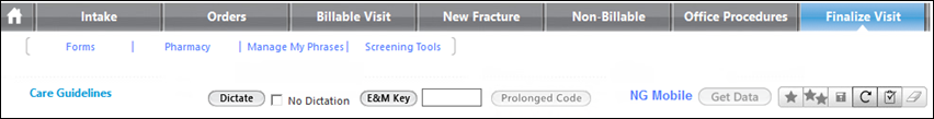Dictation on the Finalize Visit template