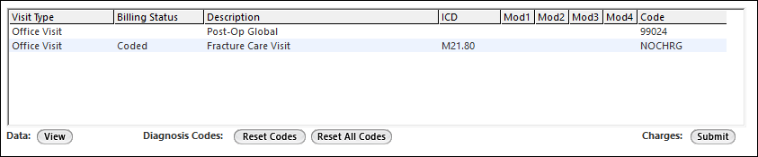Coding grid on the Finalize Visit template