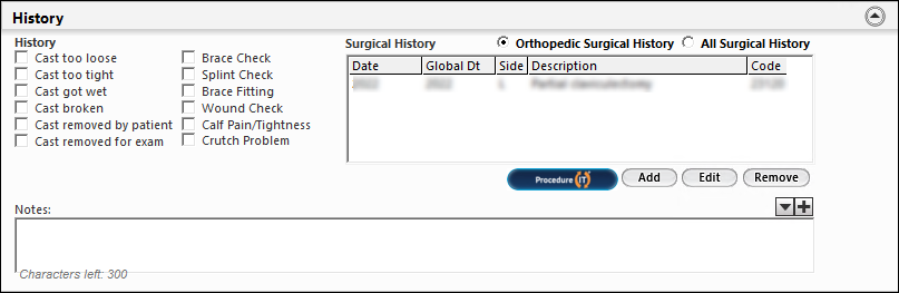 History panel on the Cast/Wound Care template