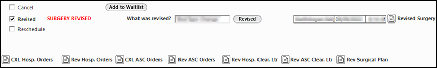 Revised check box in the Place Order panel