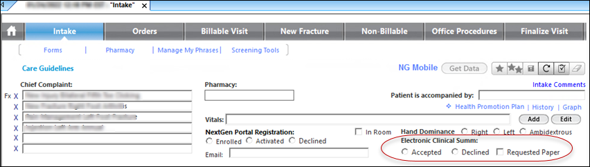Electronic Clinical Summary field on the Intake Template