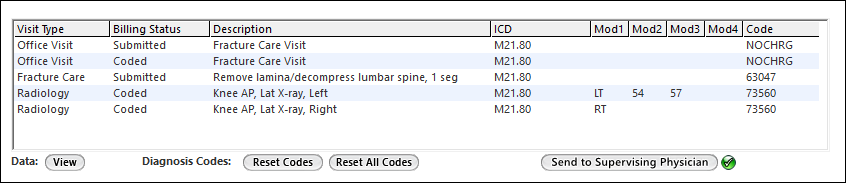 Coding grid on the Finalize Visit template