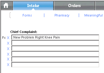Chief Complaint field on the Intake template