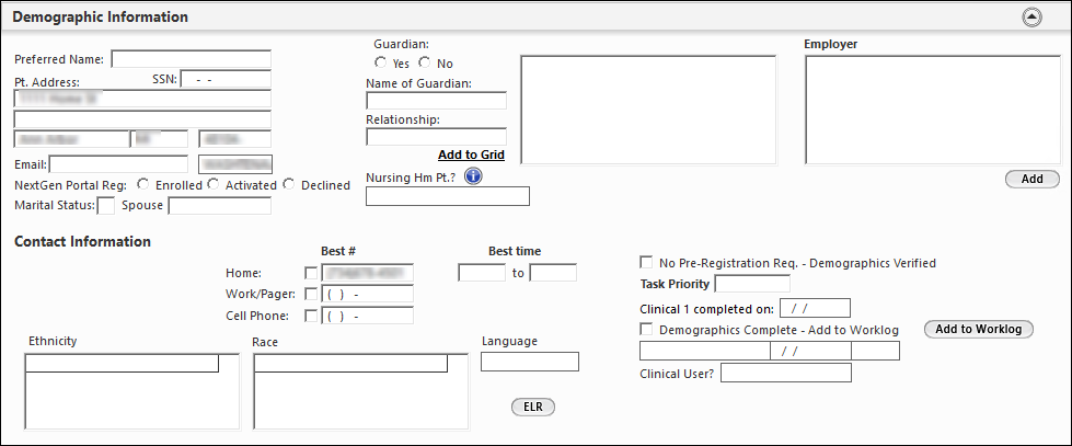 Demographic Information panel on the Pre Reg template