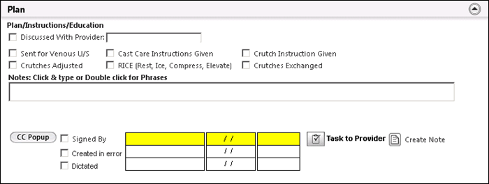 Plan panel on the Cast/Wound Care template