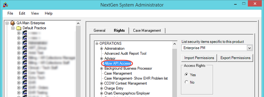 Allow API Access right in System Administrator