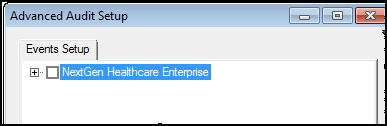 Advanced Audit Setup window