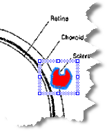 selected imaging component on the image