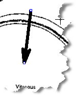 drag to draw an arrow on the image