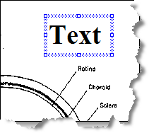 text