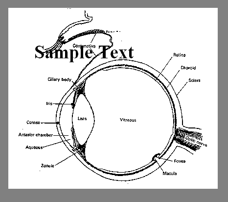 Sample text