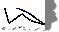 polyline annotation