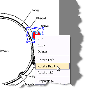 Rotate Right