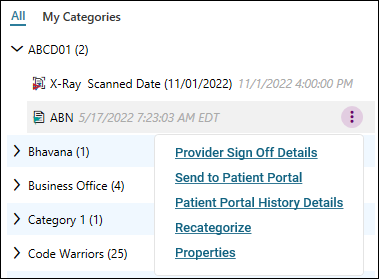 Document Options Button on Categories Tab