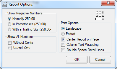 Report Options