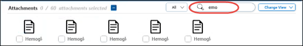 Searching Attachments
