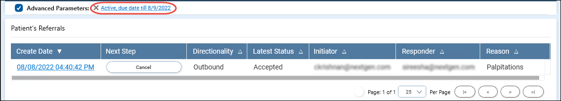 Referrals List with Filter Applied