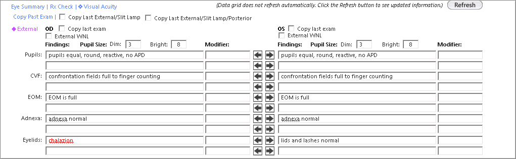 external section of physical exam panel
