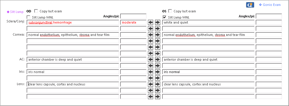 slit lamp exam details - oph template