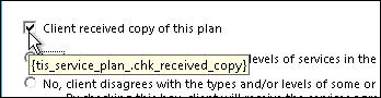 Client received copy of this plan check box