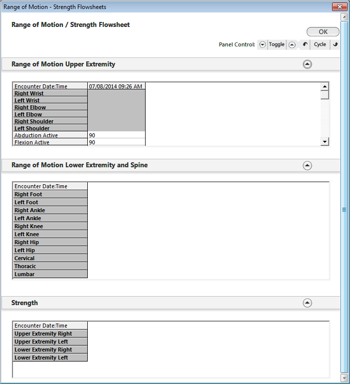Range of Motion - Strength Flowsheet