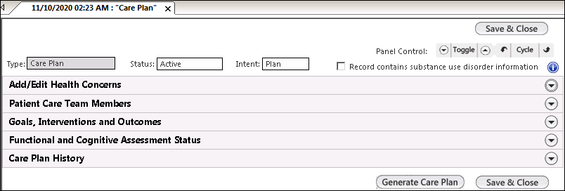 Activated panels on the Care Plan template