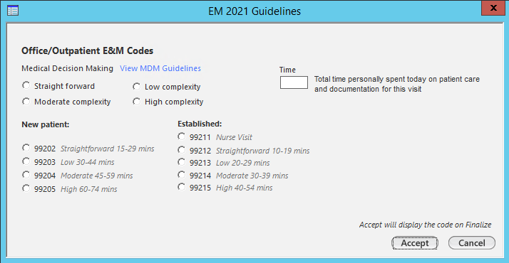 EM 2021 Guidelines template