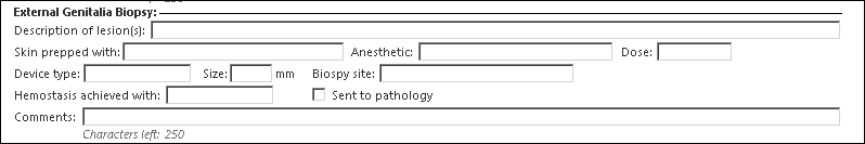 External Genitalia Biopsy section
