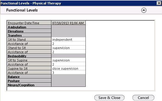 Functionsl Levels - Physical Therapy