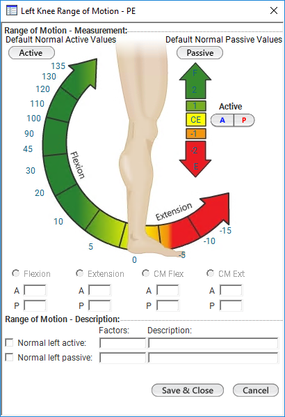Left Knee Range of Motion - PE