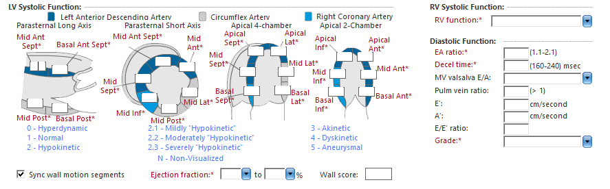 LV Systolic Function