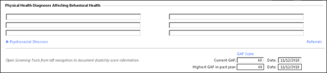 Physical Health Diagnoses Affecting Behavioral Health in the Assessment/Diagnosis Panel