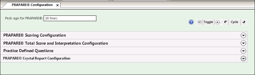 PRAPARE® Configuration template