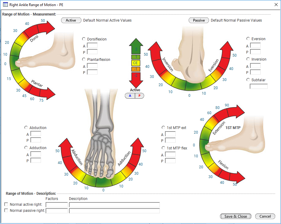 Right Ankle Range of Motion – PE