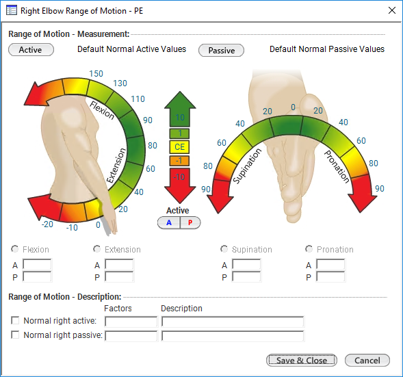 Right/Left Elbow Range of Motion - PE